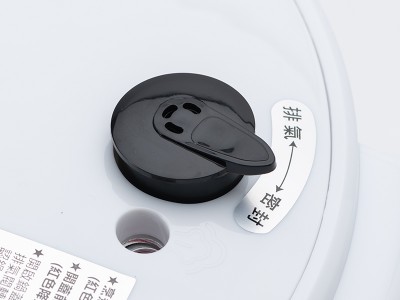 食譜-番茄豬肉燉菜