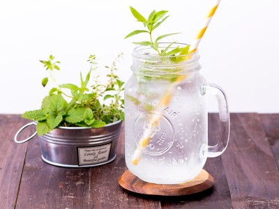 食譜-香草氣泡飲（香草薄荷氣泡飲）