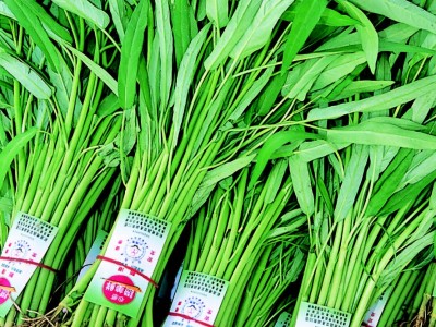 食譜-如何選購蔬菜--摘自《譚敦慈的安心廚房食典》