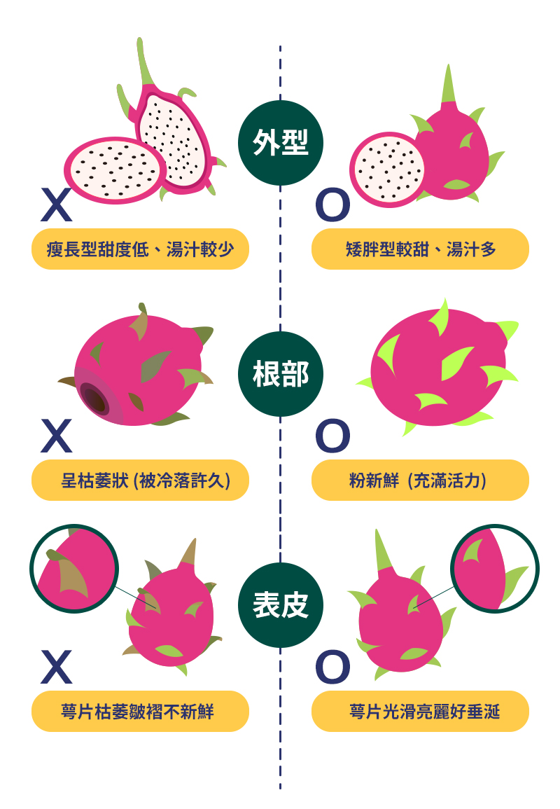 如何挑選.jpg